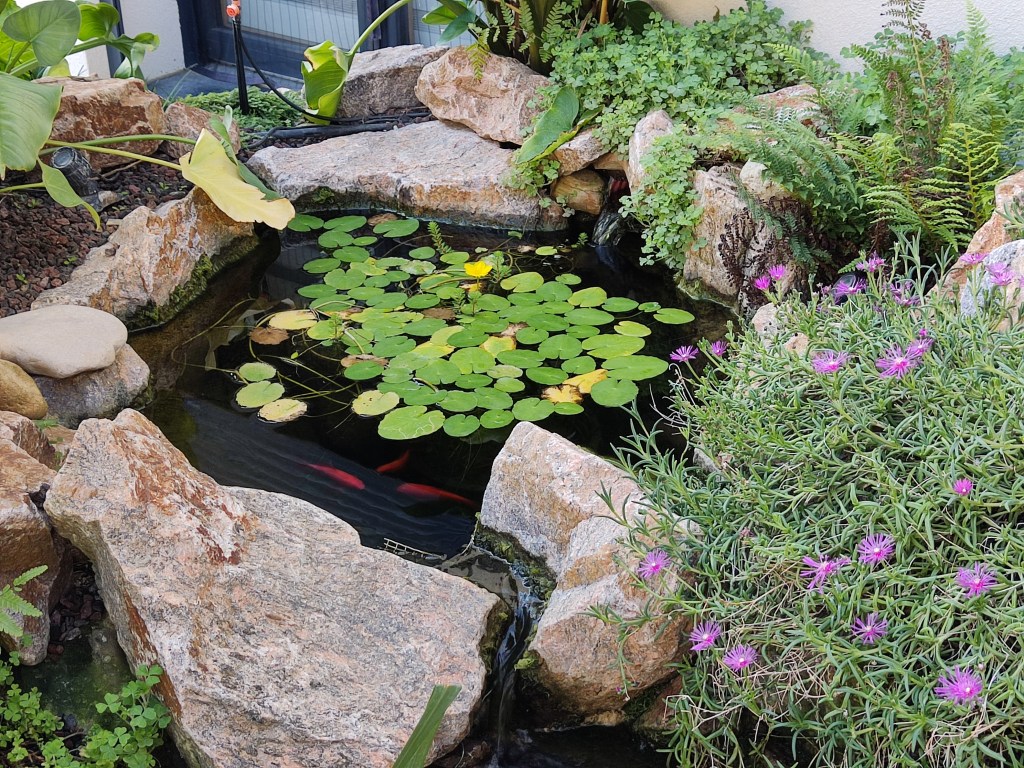 Bassin paysager naturel avec pierres