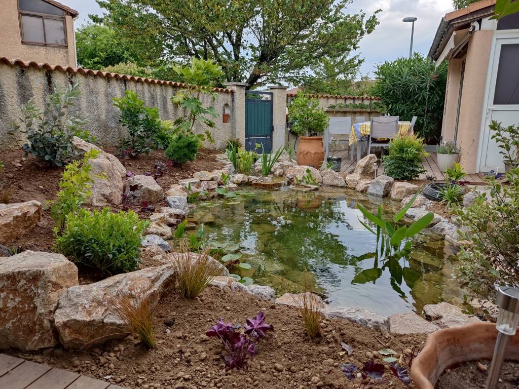 Bassin avec plantes aquatiques